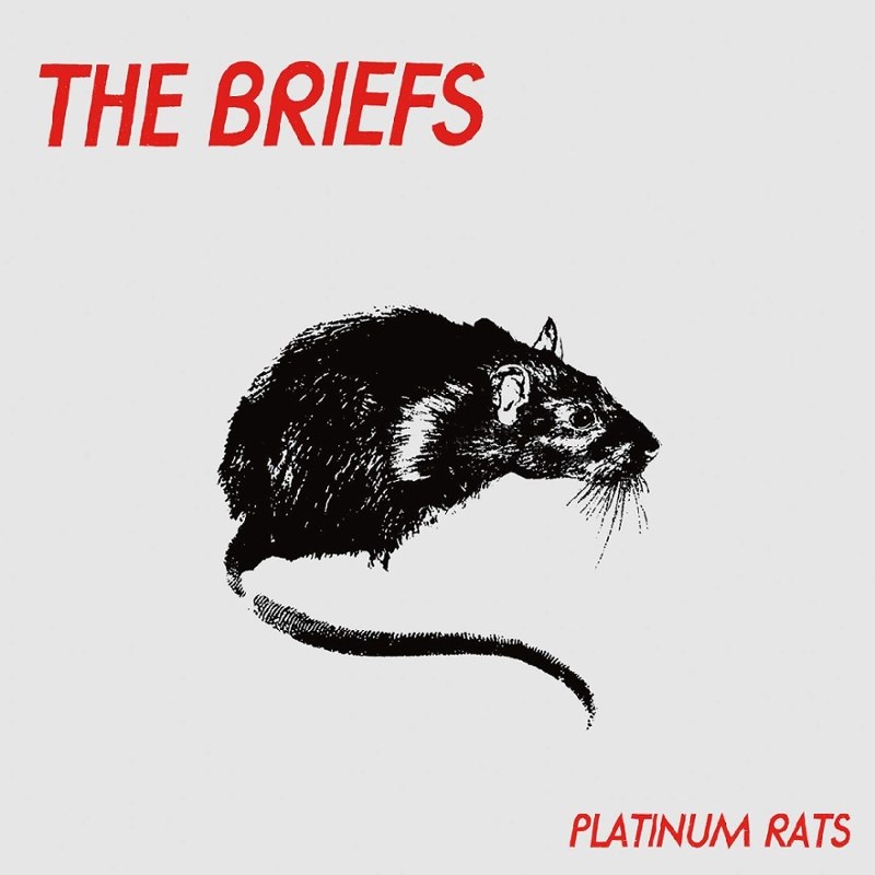BRIEFS - Platinum rats LP