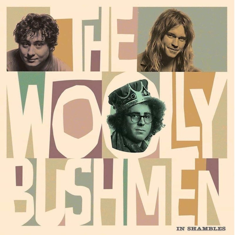 WOOLLY BUSHMEN - In shambles LP