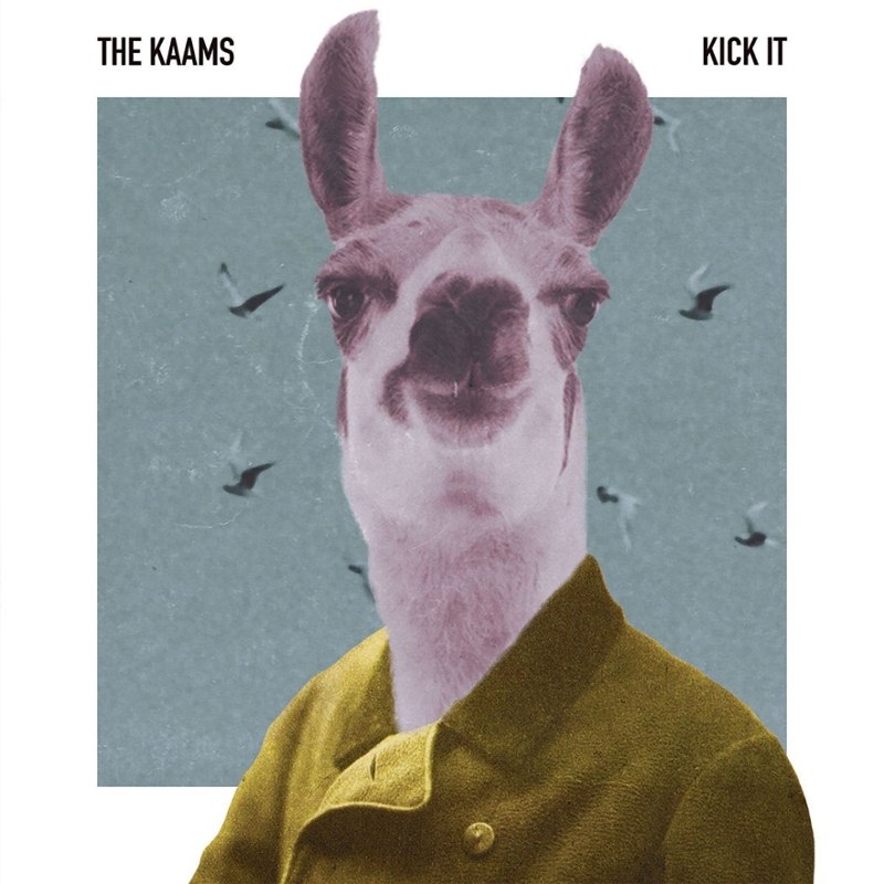 KAAMS - Kick it LP