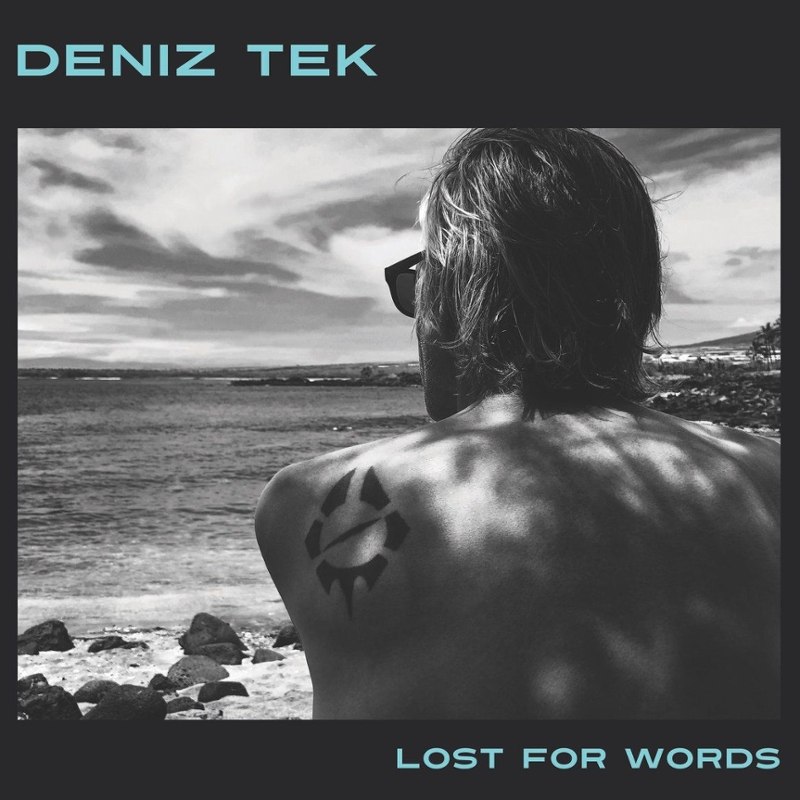DENIZ TEK - Lost for words LP