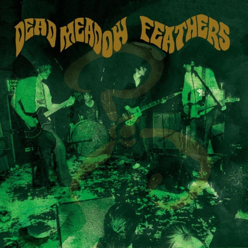 DEAD MEADOW - Feathers DoCD