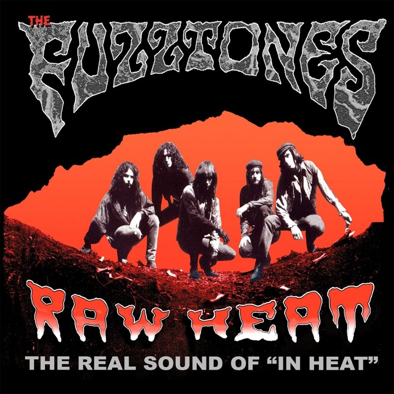 FUZZTONES - Raw heat LP