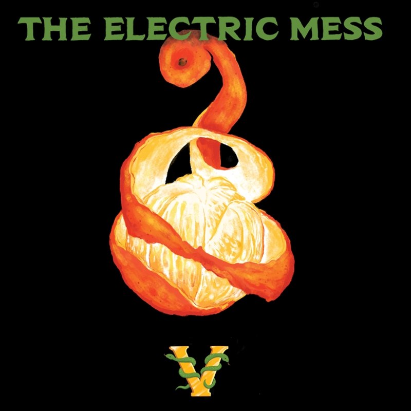 ELECTRIC MESS - The Electric Mess V LP