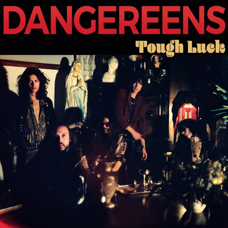 DANGEREENS - Tough luck LP