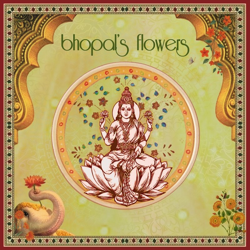 BHOPALS FLOWERS - Diamond queen/the majestic purple sky 7