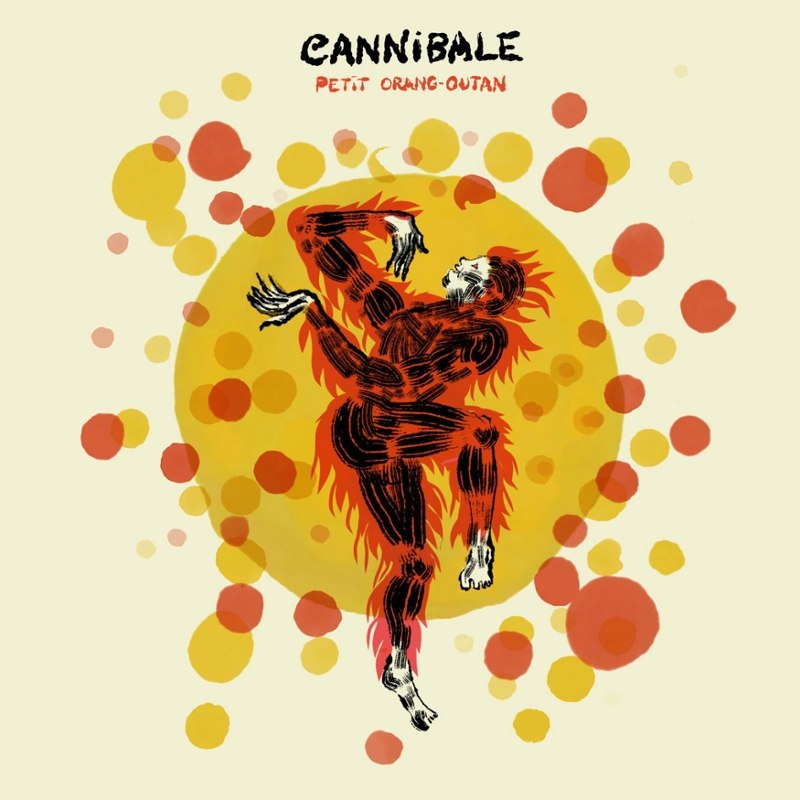 CANNIBALE - Petit orang outan 7