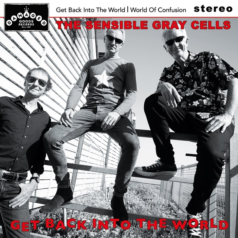 SENSIBLE GRAY CELLS - Get back into the world 7