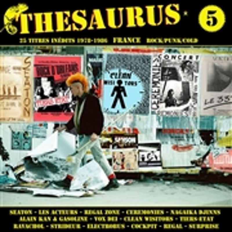 V/A - Thesaurus Vol. 5 DoLP