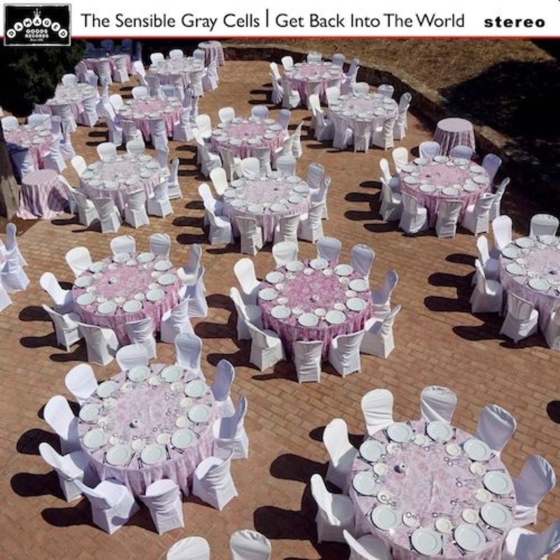 SENSIBLE GRAY CELLS - Get back into the world LP