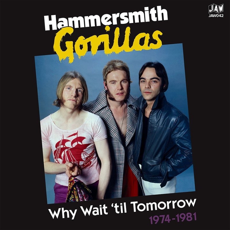 HAMMERSMITH GORILLAS - Why wait until1974-1981 (col) DoLP