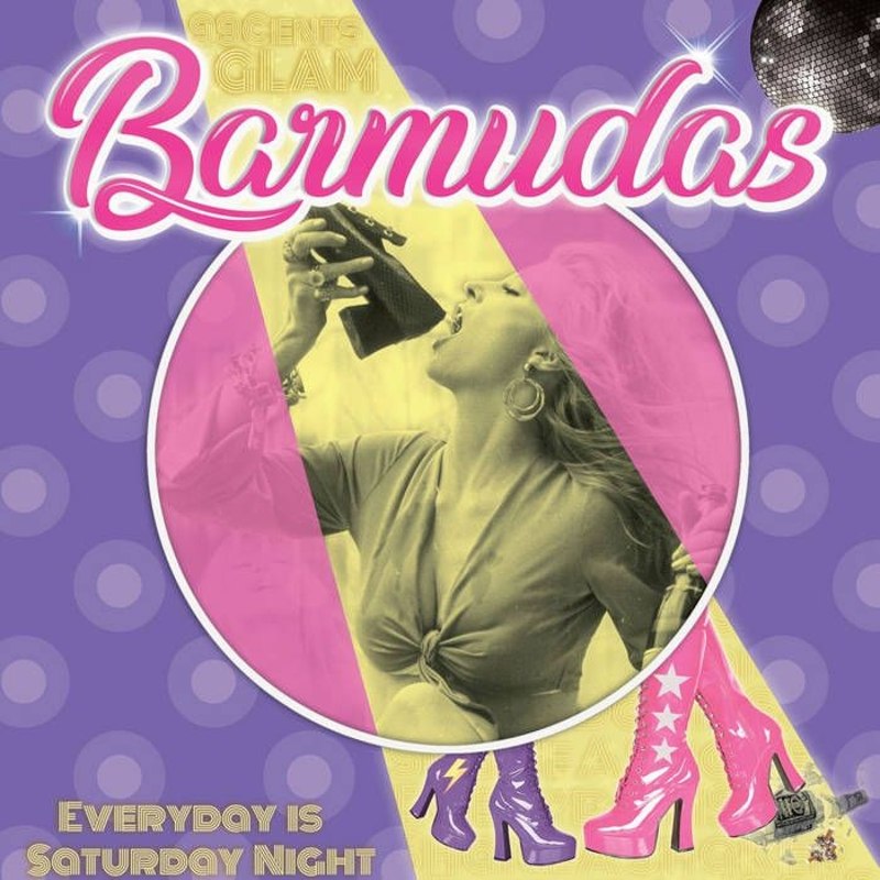 BARMUDAS - Everyday is a saturday night LP