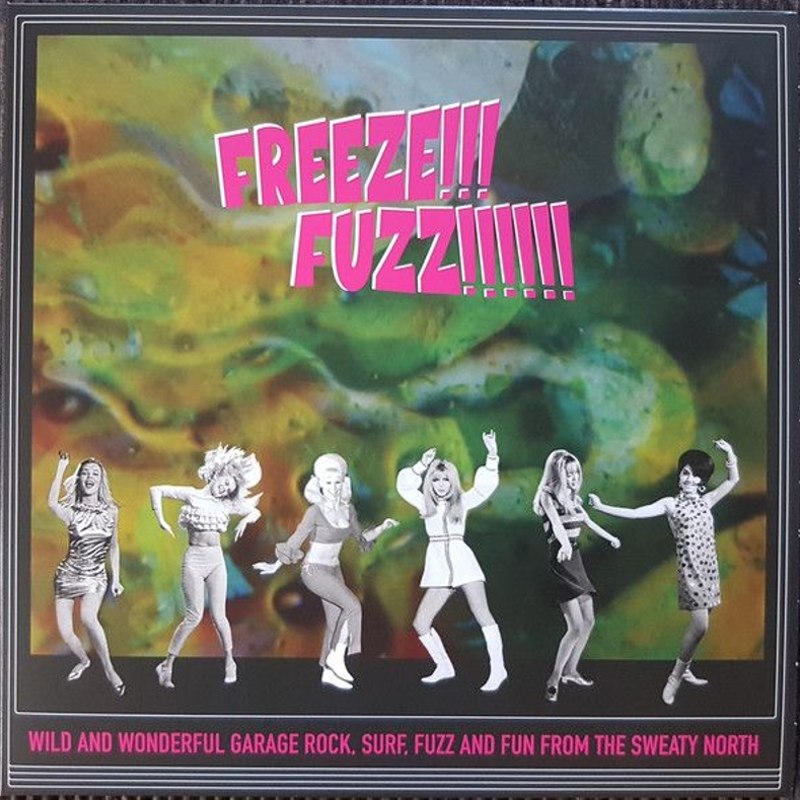 V/A - Freeze!!! fuzz!!!!! LP