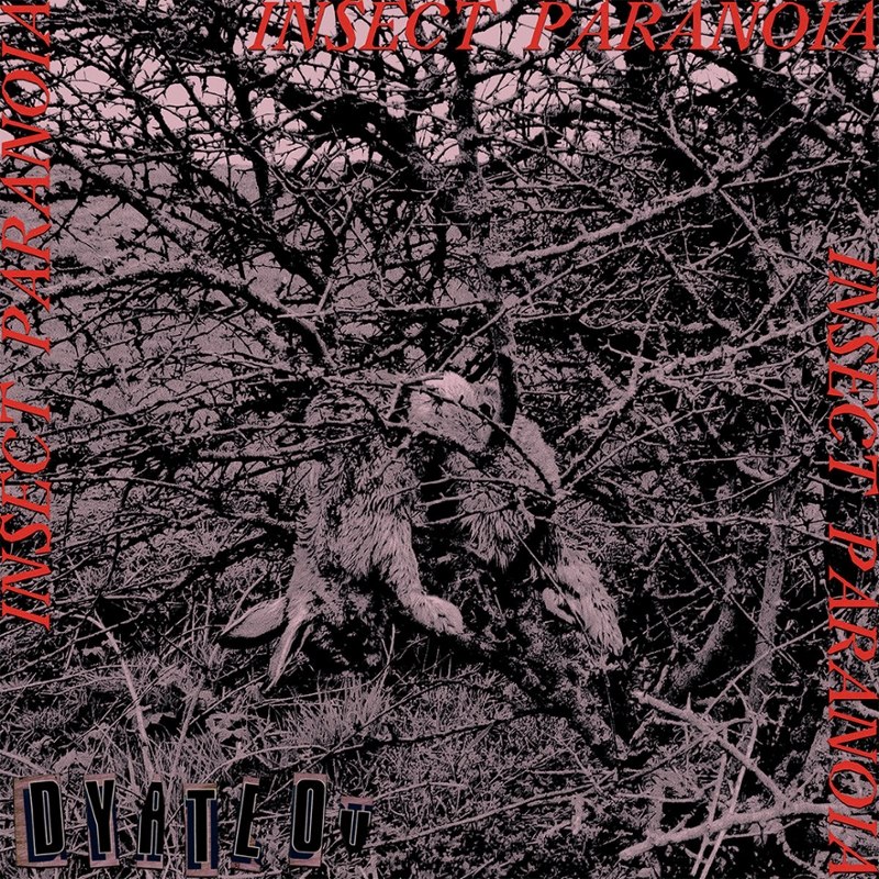 DYATLOV - Insect paranoia 7