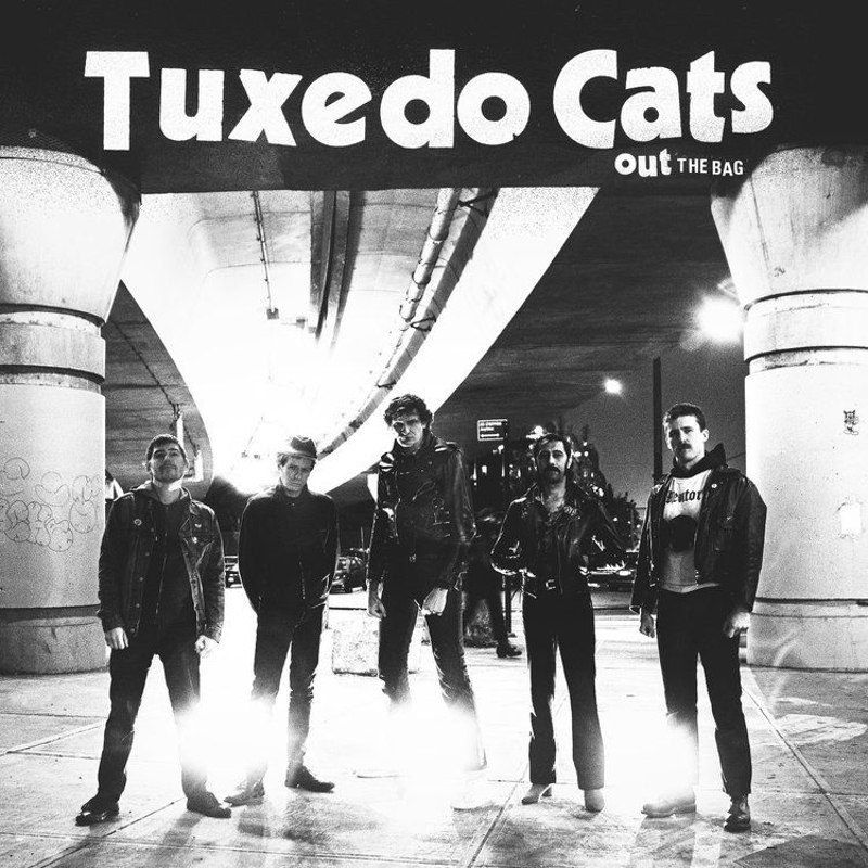 TUXEDO CATS - Out the bag 7