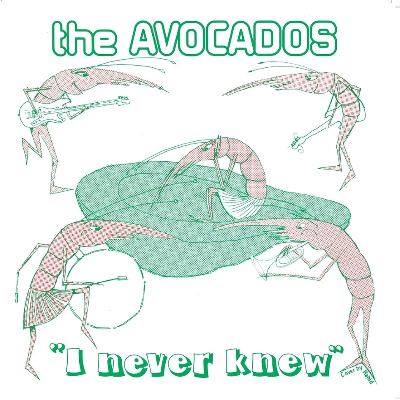 AVOCADOS - I never knew 7