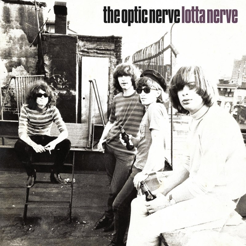 OPTIC NERVE - Lotta nerve (purple) LP