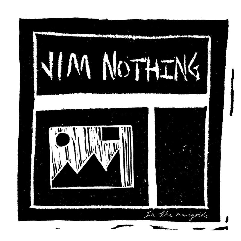 JIM NOTHING - In the marigolds (white) LP