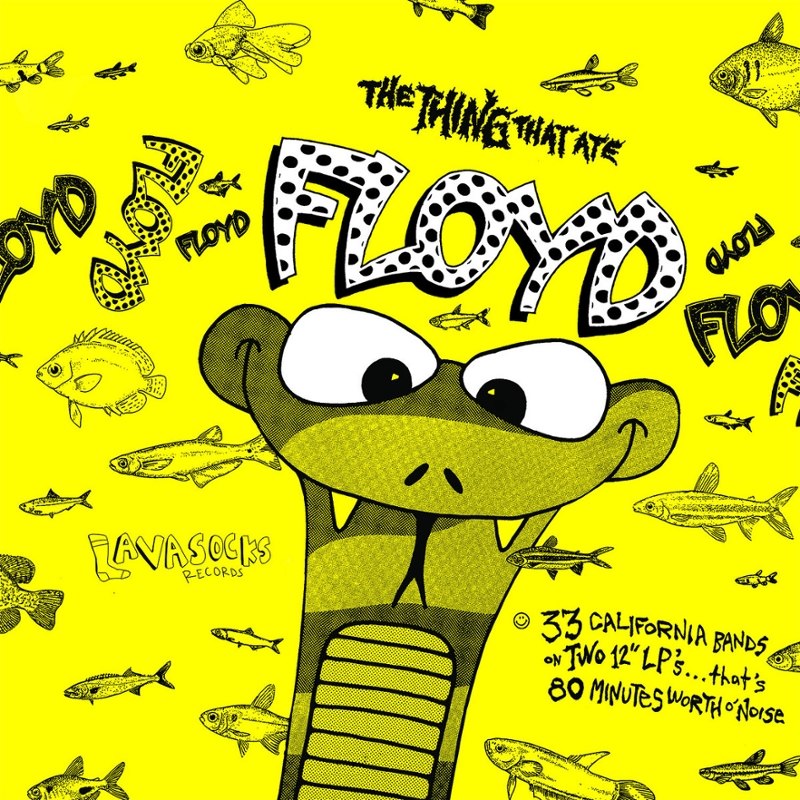 V/A - The thing that ate Floyd DoLP