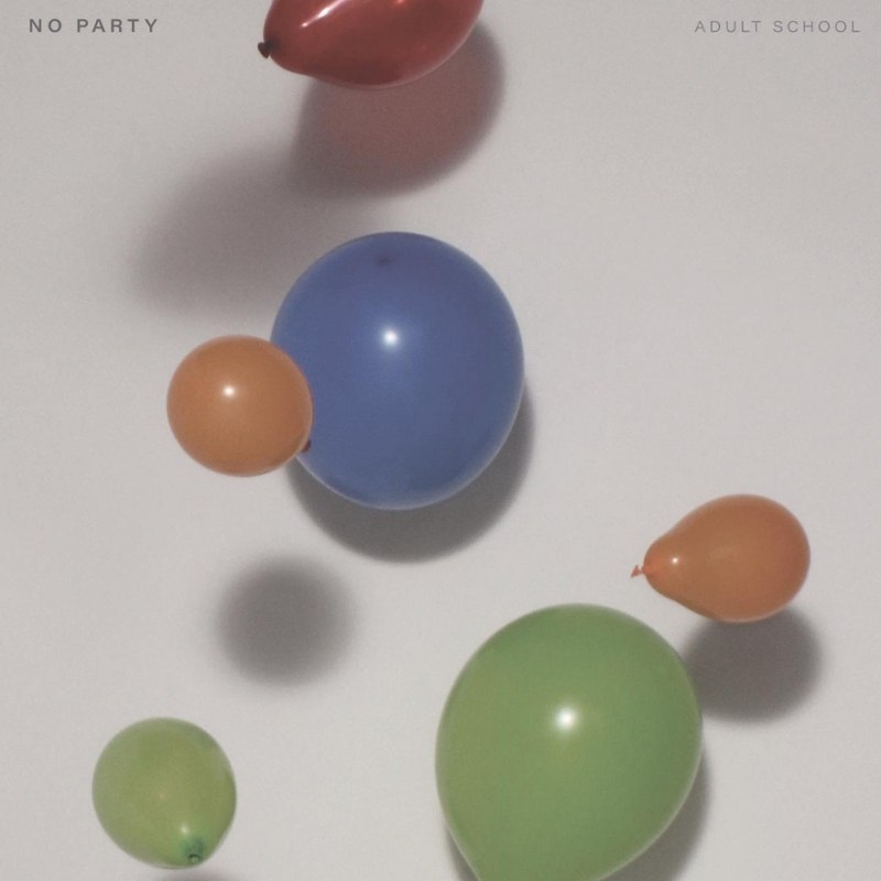 ADULT SCHOOL - No party LP