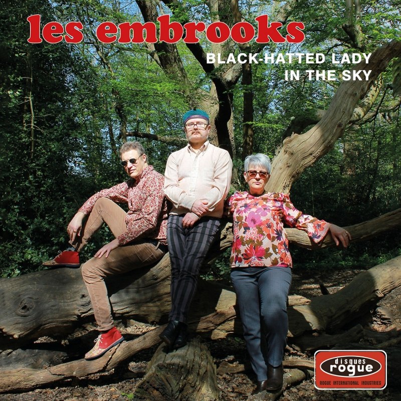 EMBROOKS - Black hatted lady 7