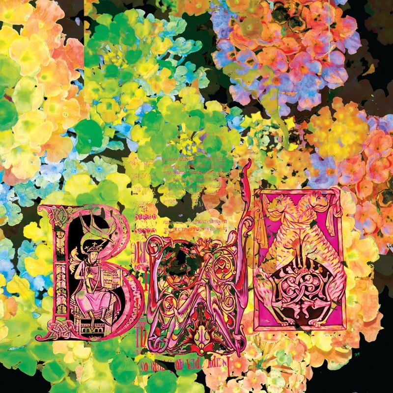 BAD WEED - II LP