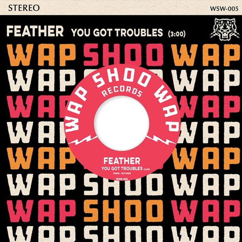 FEATHER - You got troubles/stupid girl (reissue) 7