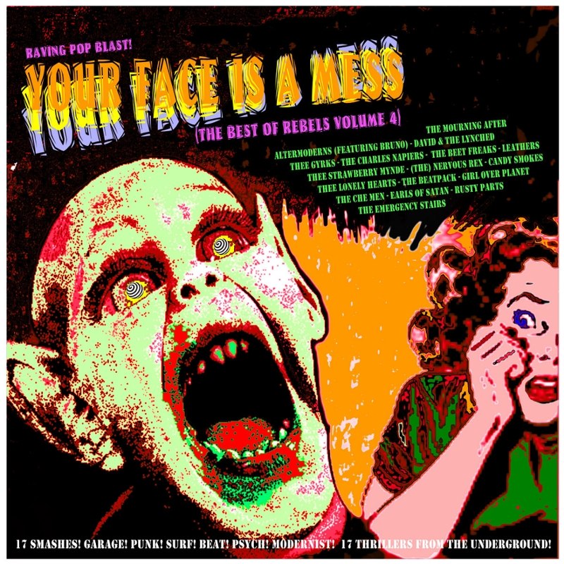V/A - Your face is a mess LP