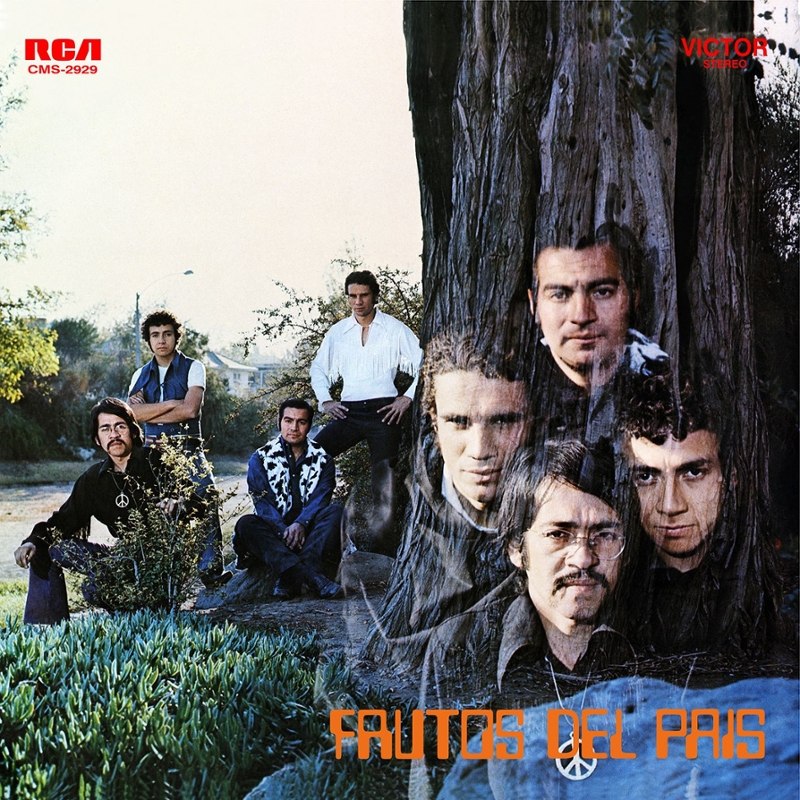 FRUTOS DEL PAIS - Same LP