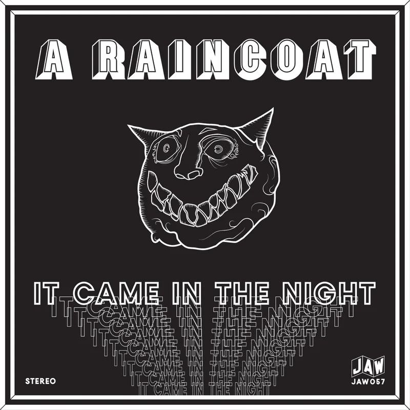 A RAINCOAT - It came in the night/vote for me 7