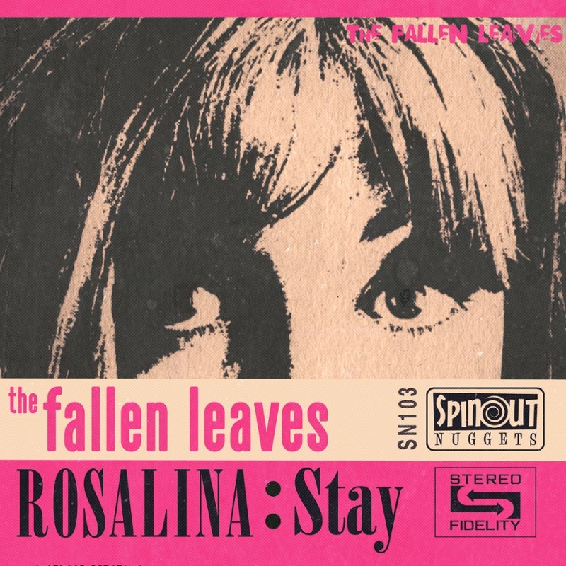 FALLEN LEAVES - Rosalina/stay 7