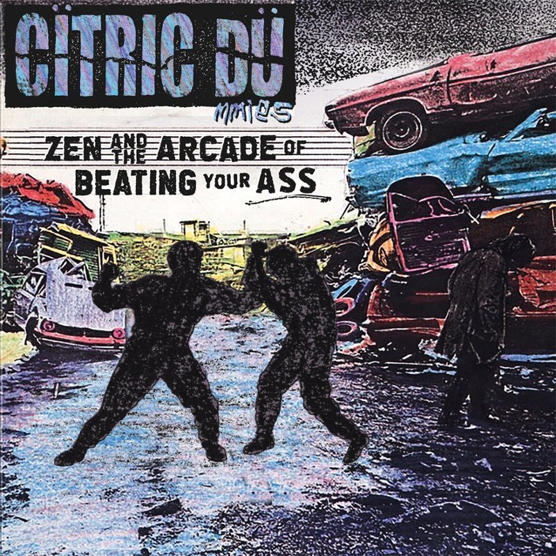 CITRIC DUMMIES - Zen and the arcade of beating your ass LP