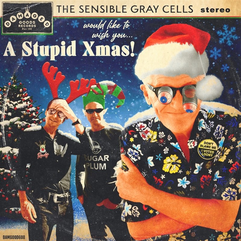 SENSIBLE GRAY CELLS - A stupid xmas 7