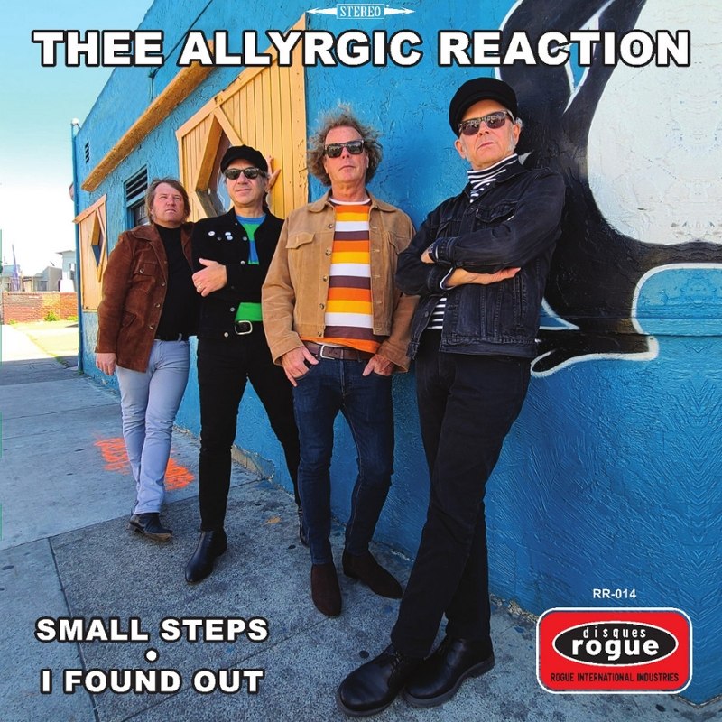 THEE ALLYRGIC REACTION - Small steps 7