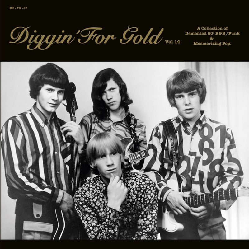V/A - Diggin for gold Vol. 14 LP