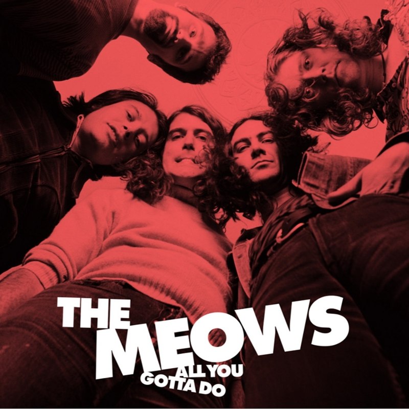 MEOWS - All you gotto do LP