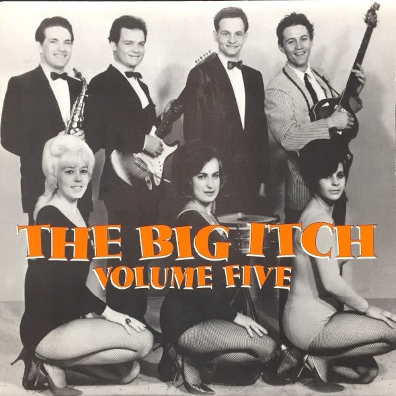 V/A - Big itch Vol. 5 LP