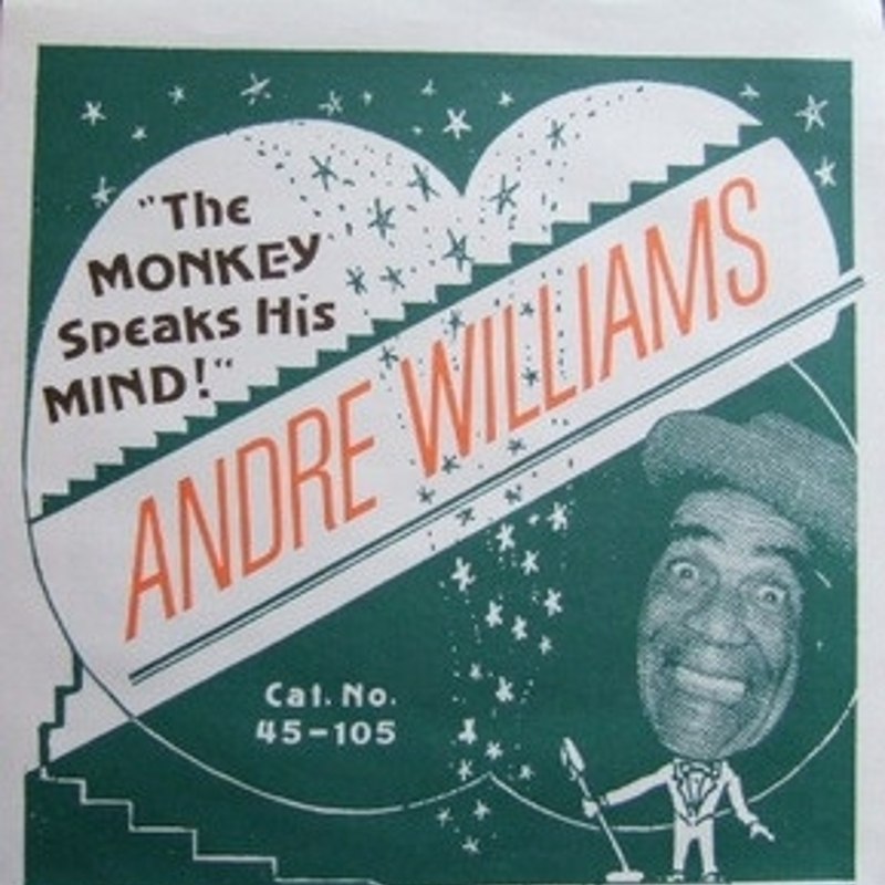 ANDRE WILLIAMS - The monkey speaks his mind 7