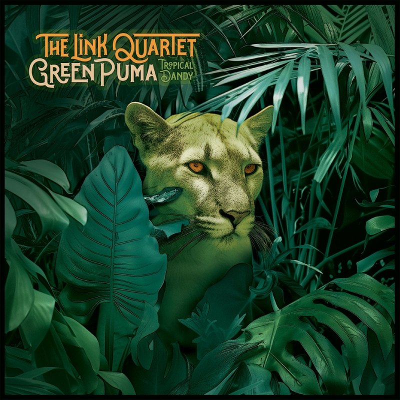 LINK QUARTET - Green puma/tropical dandy 7