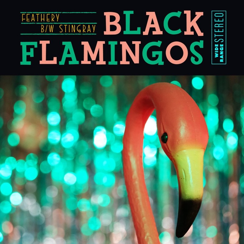BLACK FLAMINGOS - feathery/stingray (pink/exotic bloom) 7