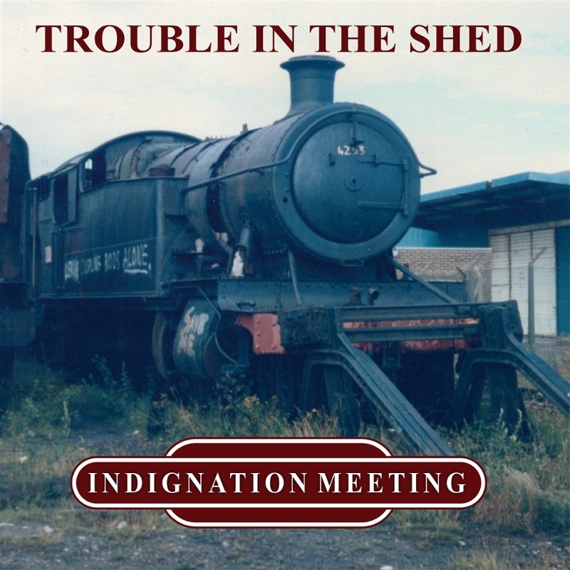 INDIGNATION MEETING - Trouble in the shed (green vinyl) LP
