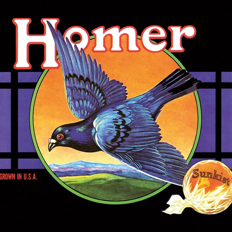 HOMER - Grown in u.s.a. LP