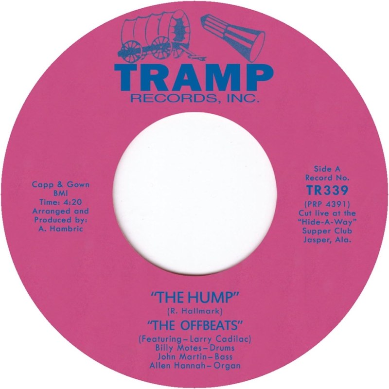 OFFBEATS - The hump 7