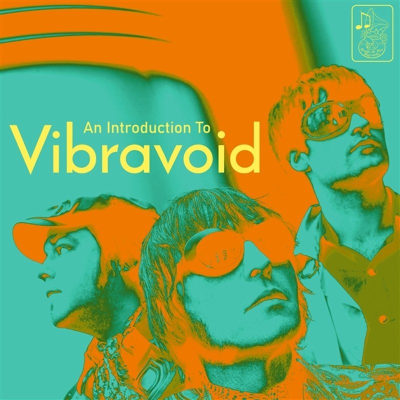 VIBRAVOID - An introduction to Vibravoid DoCD