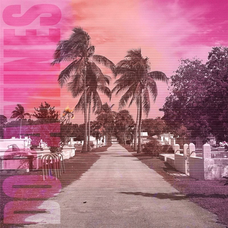 DOPAMINES - 80/20 LP