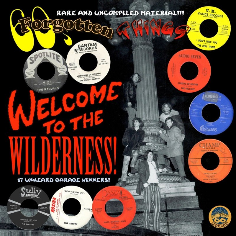 V/A - 60s forgotten things: welcome to the wilderness! LP