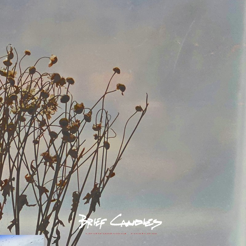 BRIEF CANDLES - Unfinished nature LP