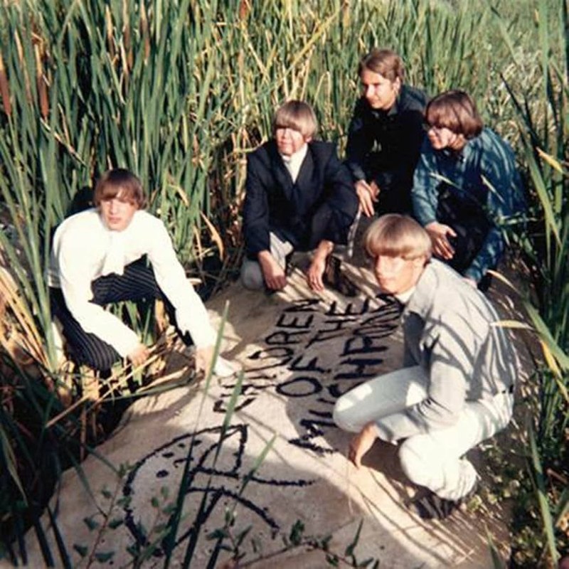 CHILDREN OF THE MUSHROOM - Same LP