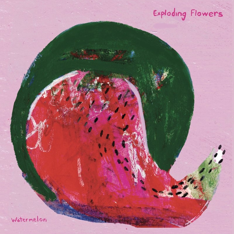 EXPLODING FLOWERS - Watermelon/peacock (white) LP