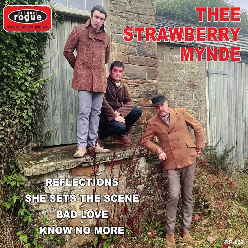 THEE STRAWBERRY MYNDE - Reflections 7