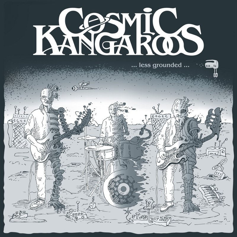COSMIC KANGAROOS - ...less grounded... (standard) LP